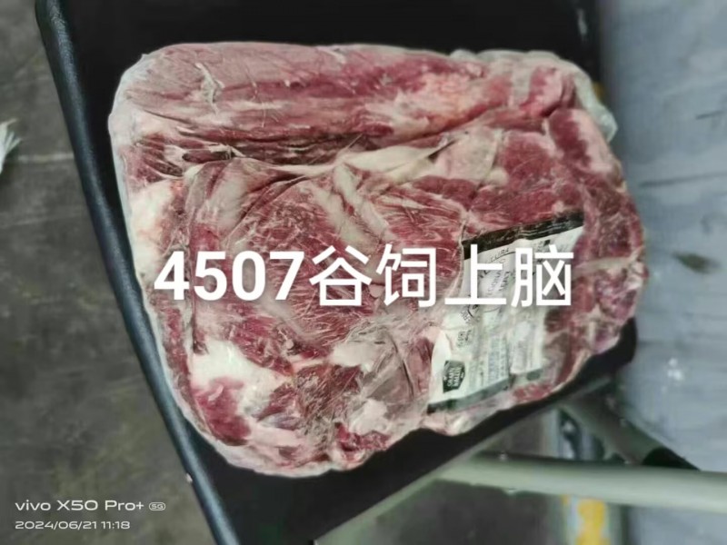 牛谷飼上腦 4507廠